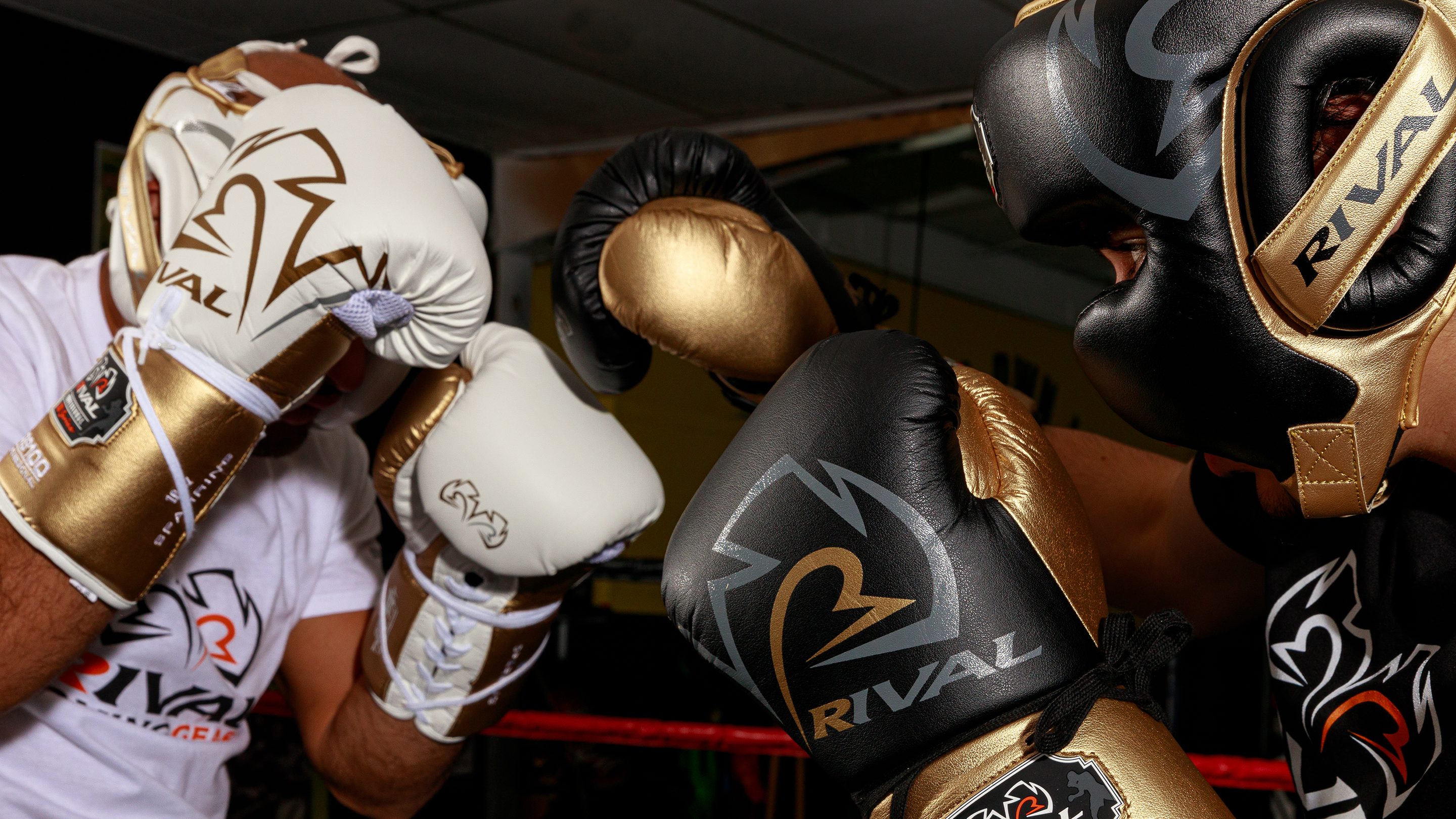 Professional 100 Series Rival Boxing Gear USA