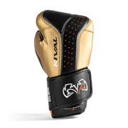 #color_black-gold