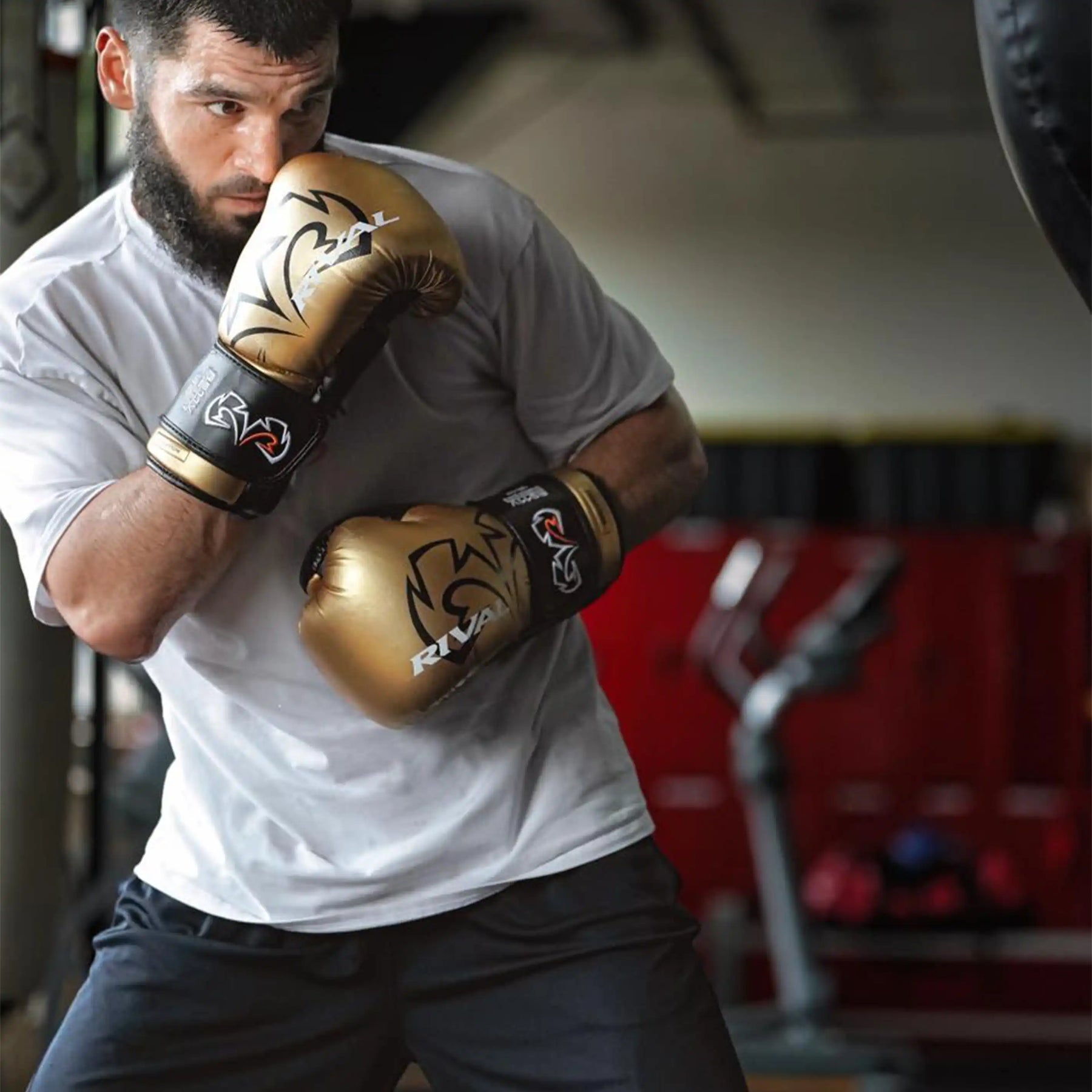 Rival RS11V Evolution Sparring Gloves – Rival Boxing Gear USA